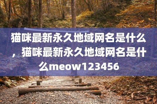 猫咪最新永久地域网名是什么，猫咪最新永久地域网名是什么meow123456