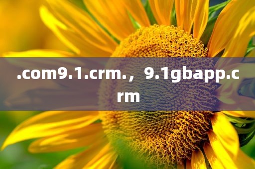 .com9.1.crm.，9.1gbapp.crm
