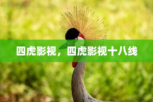四虎影视，四虎影视十八线