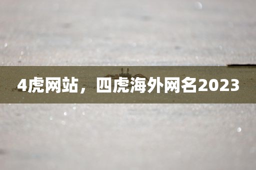 4虎网站，四虎海外网名2023