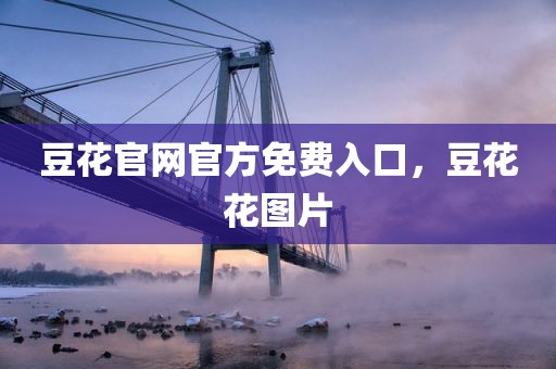 豆花官网官方免费入口，豆花花图片