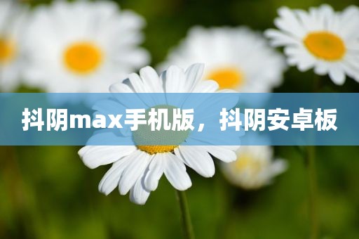 抖阴max手机版，抖阴安卓板