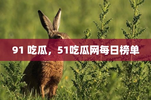 91 吃瓜，51吃瓜网每日榜单
