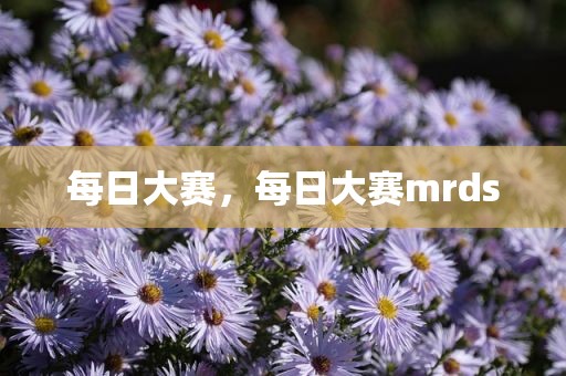 每日大赛，每日大赛mrds