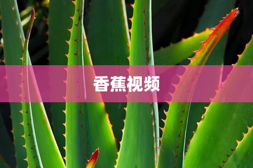 香蕉视频