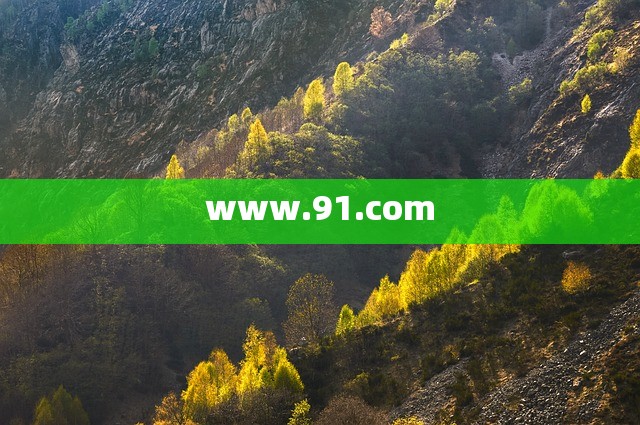www.91.com