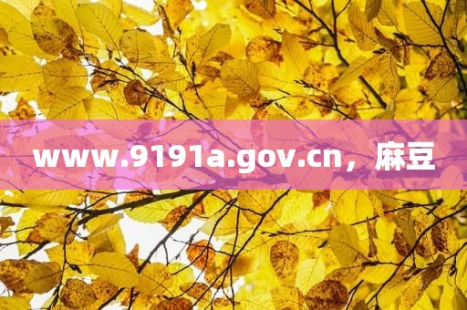 www.9191a.gov.cn，麻豆