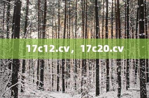 17c12.cv，17c20.cv