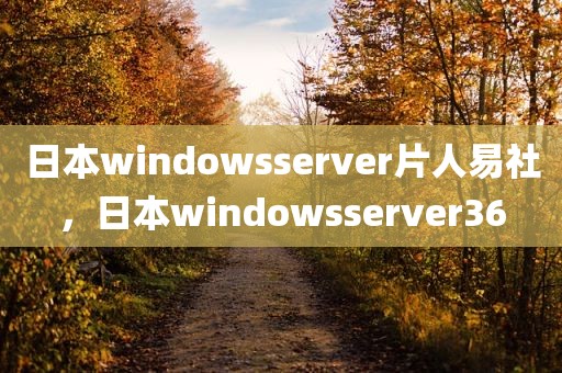 日本windowsserver片人易社，日本windowsserver36
