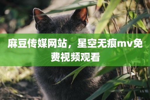 麻豆传媒网站，星空无痕mv免费视频观看