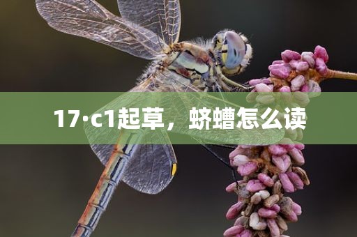 17·c1起草，蛴螬怎么读