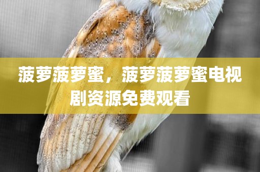 菠萝菠萝蜜，菠萝菠萝蜜电视剧资源免费观看