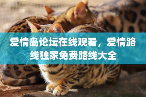爱情岛论坛在线观看，爱情路线独家免费路线大全