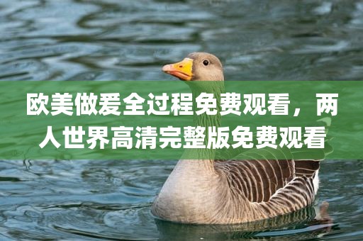 欧美做爰全过程免费观看，两人世界高清完整版免费观看