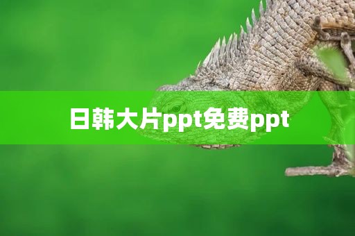 日韩大片ppt免费ppt