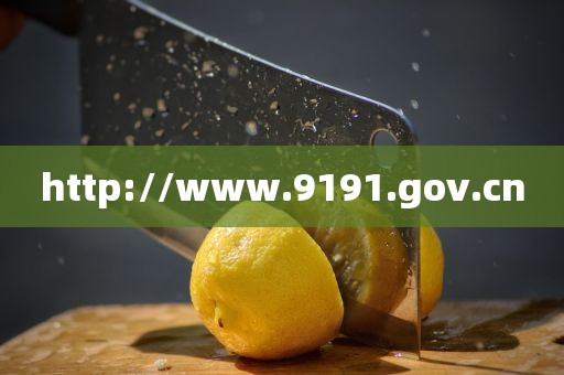 http://www.9191.gov.cn