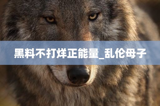 黑料不打烊正能量_乱伦母子