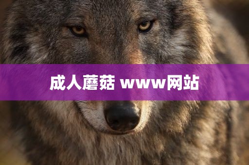 成人蘑菇 www网站