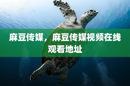 麻豆传媒，麻豆传媒视频在线观看地址