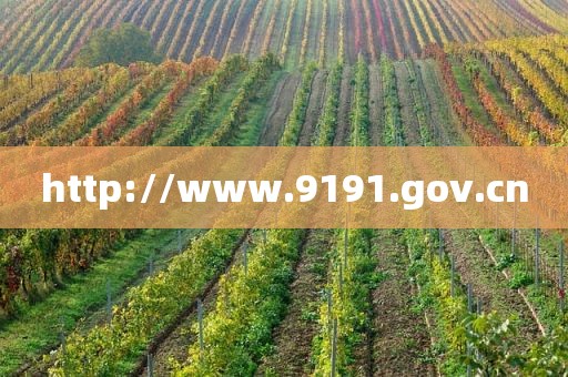 http://www.9191.gov.cn