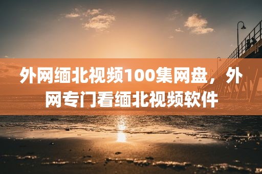 外网缅北视频100集网盘，外网专门看缅北视频软件