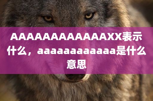 AAAAAAAAAAAAXX表示什么，aaaaaaaaaaaa是什么意思
