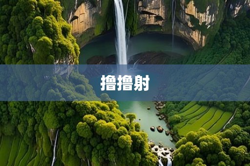 撸撸射