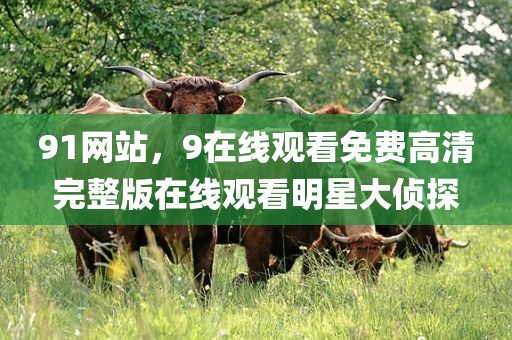 91网站，9在线观看免费高清完整版在线观看明星大侦探