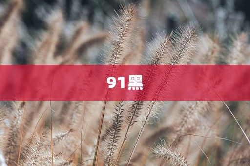 91黑