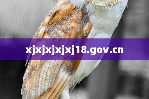xjxjxjxjxj18.gov.cn