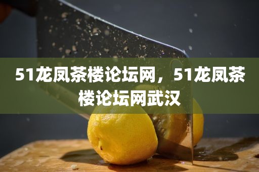 51龙凤茶楼论坛网，51龙凤茶楼论坛网武汉