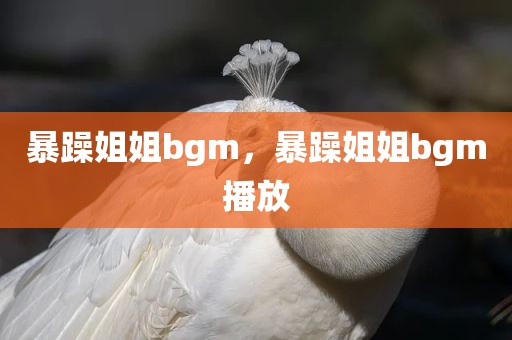 暴躁姐姐bgm，暴躁姐姐bgm播放