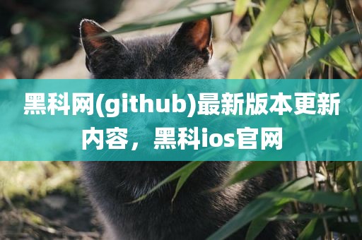 黑科网(github)最新版本更新内容，黑科ios官网