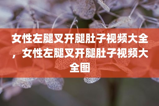 女性左腿叉开腿肚子视频大全，女性左腿叉开腿肚子视频大全图