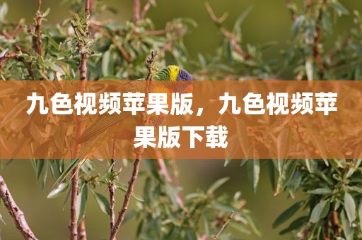 九色视频苹果版，九色视频苹果版下载