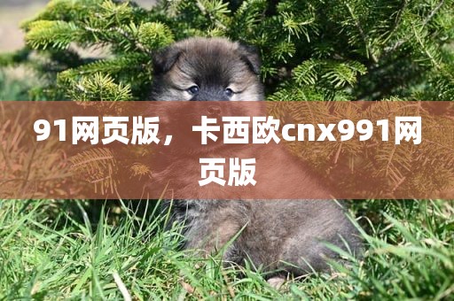 91网页版，卡西欧cnx991网页版