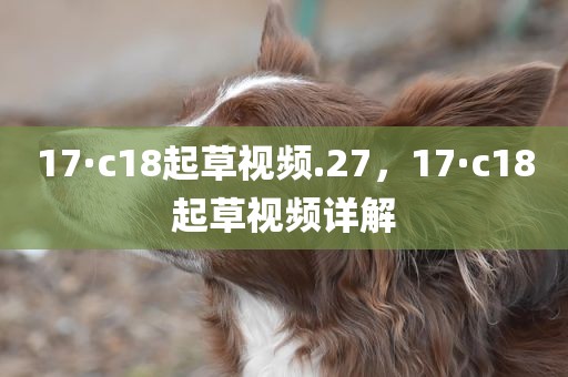 17·c18起草视频.27，17·c18起草视频详解