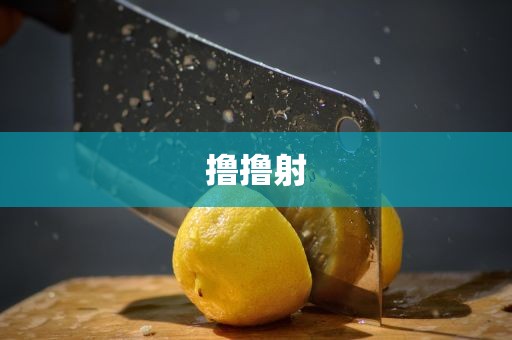 撸撸射