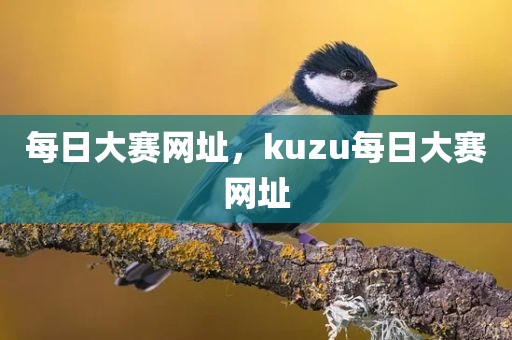 每日大赛网址，kuzu每日大赛网址