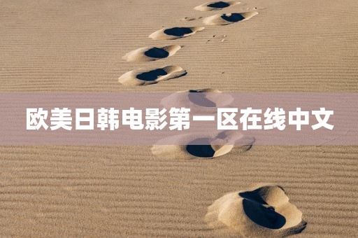 欧美日韩电影第一区在线中文
