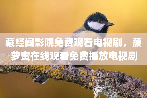 藏经阁影院免费观看电视剧，菠萝蜜在线观看免费播放电视剧