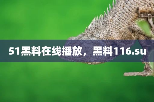 51黑料在线播放，黑料116.su