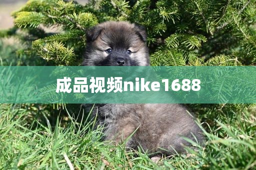 成品视频nike1688