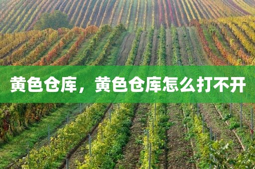 黄色仓库，黄色仓库怎么打不开