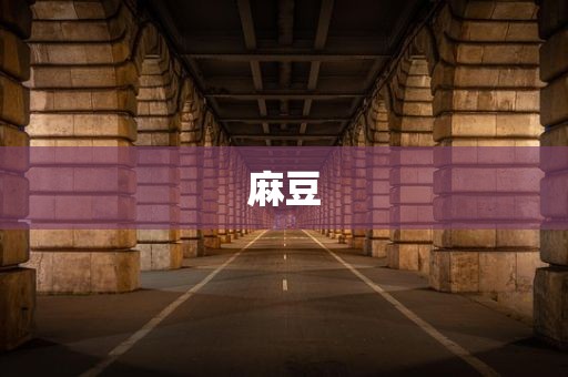 麻豆