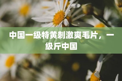 中国一级特黄刺激爽毛片，一级斤中国