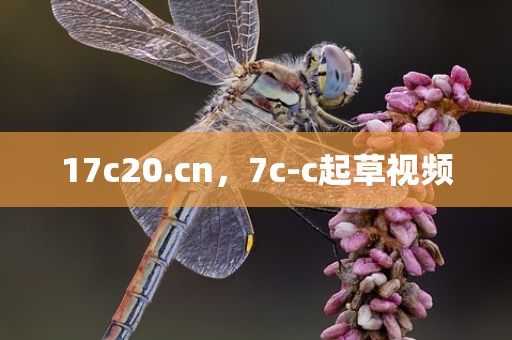 17c20.cn，7c-c起草视频