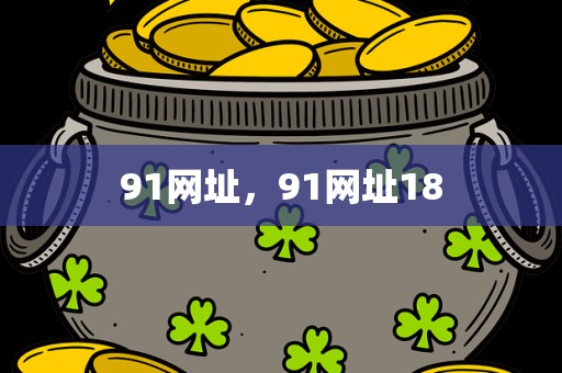 91网址，91网址18