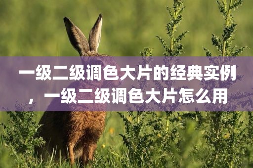 一级二级调色大片的经典实例，一级二级调色大片怎么用