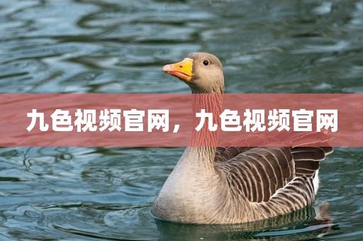 九色视频官网，九色视频官网